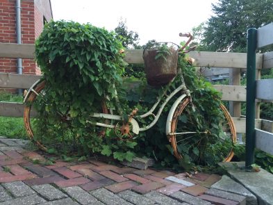 Fahrrad im Winterschlaf - Stadtradeln 2018