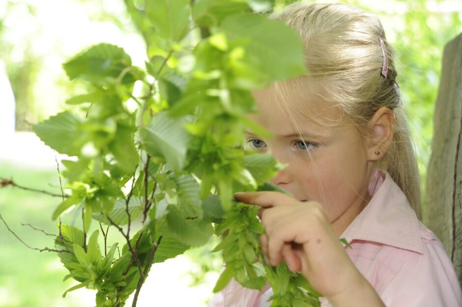 Das neue Programmheft der „Bielefelder NaturSchule“ ist da!