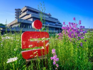 Blumenwiese Sparkassenzentrale Bielefeld