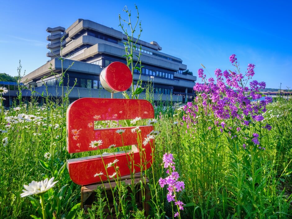 Sparkassenbienen im Anflug – gemeinsam die Umwelt schützen