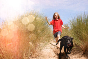 Haustierversicherung